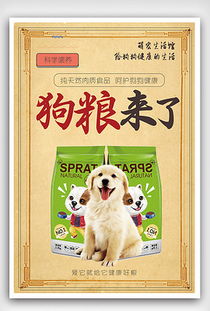 TIF分層寵物用品宣傳海報 專業(yè)設(shè)計的完美之選